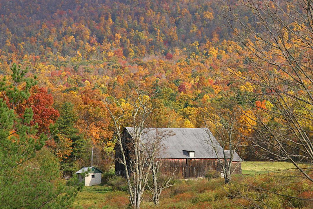 Surprises Lurk Beneath Humble Exteriors