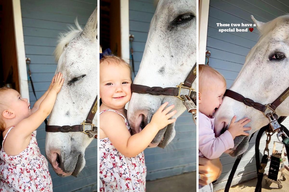 Little Girl Loves Gentle Horse Who Lets Her Snuggle Noses Every Time They Meet—And Its Adorable