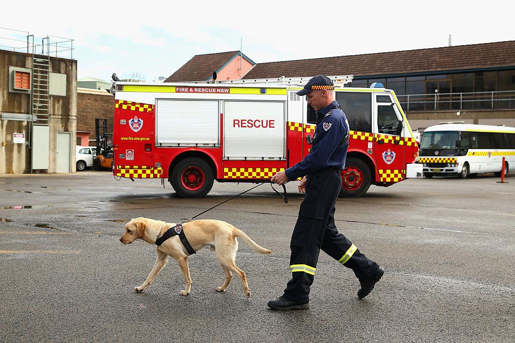 Close Call for Family After Indoor Barbecue Gas Poisoning