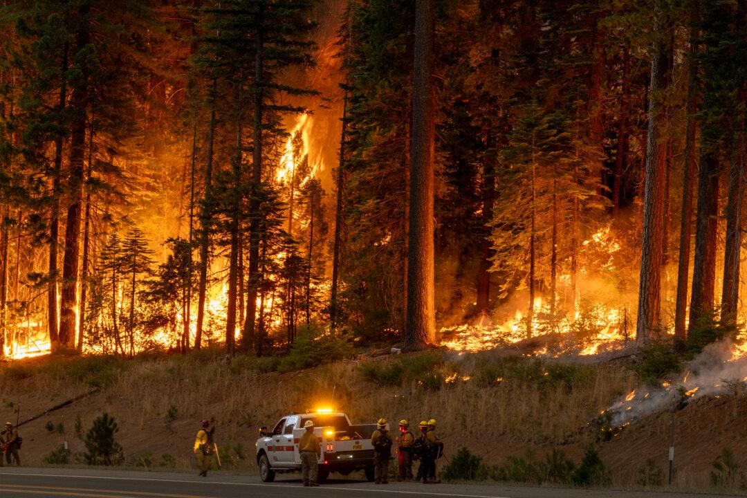 California Wildfires Mostly Manmade; Accidents Outweigh Arson, Authorities Say