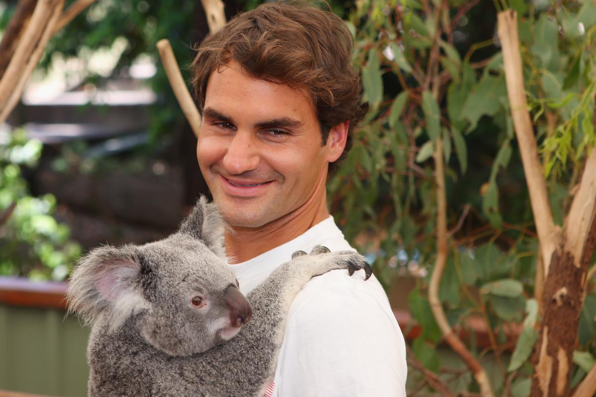 Roger Federer of Switzerland holds a koala at Lone Pine Koala Sanctuary during the 2014 edition of the Brisbane International in Brisbane, Australia on Dec. 29, 2013. (Chris Hyde/Getty Images)