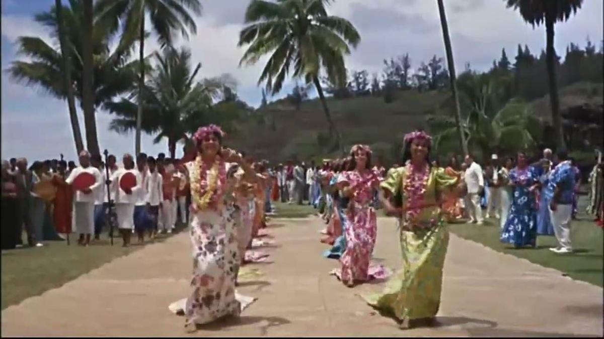 ‘Donovan’s Reef': A Breezy John Wayne Adventure