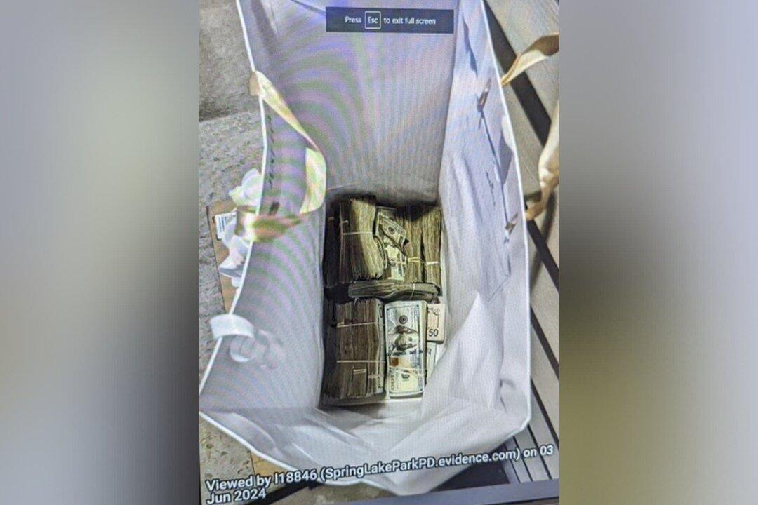 2 More People Charged With Conspiring to Bribe Minnesota Juror With Bag of Cash Plead Not Guilty