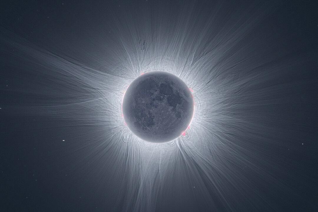 Man Flies From Portugal to Texas to Photograph Sun’s Iconic Aura During the Total Eclipse—The Results Are Magical
