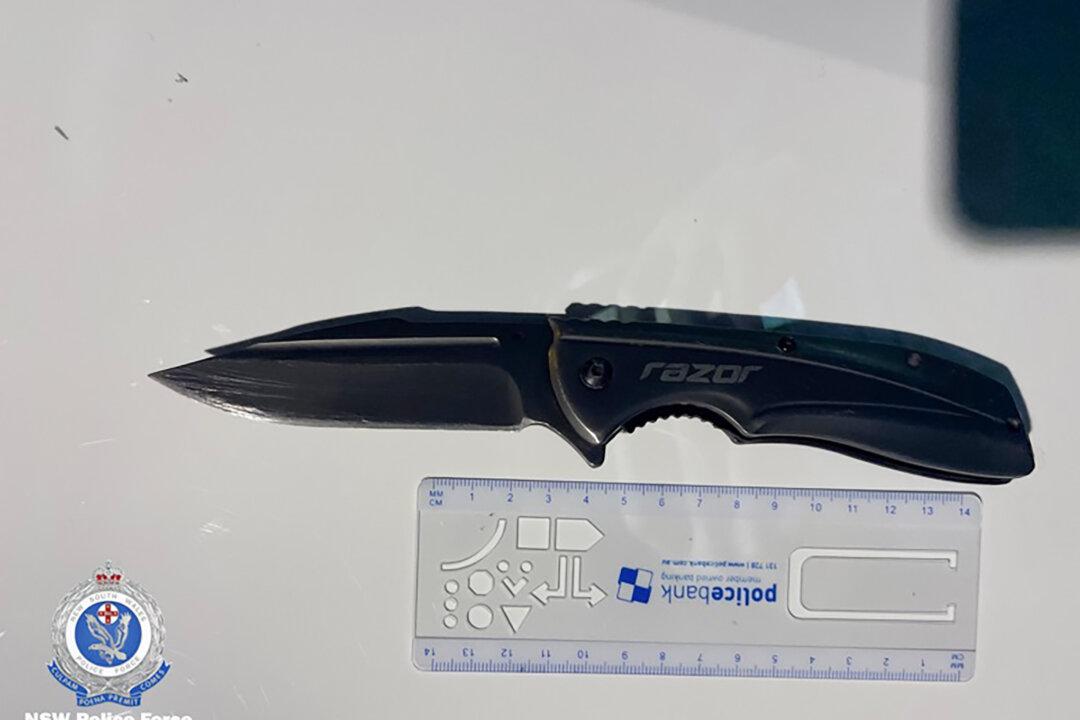 ‘You Will Be Caught’: NSW Seize 91 Knives, and Machetes Under New Wanding Powers