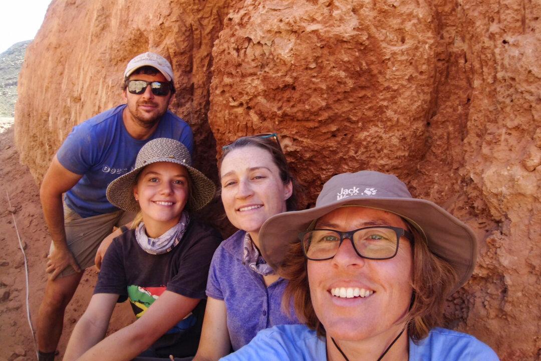 These Oldest Inhabited Termite Mounds Have Been Active for 34,000 Years