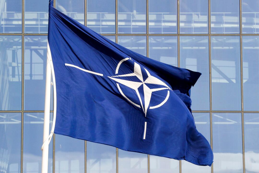 NATO to Unveil ‘Bridge to Membership’ for Ukraine: US Official