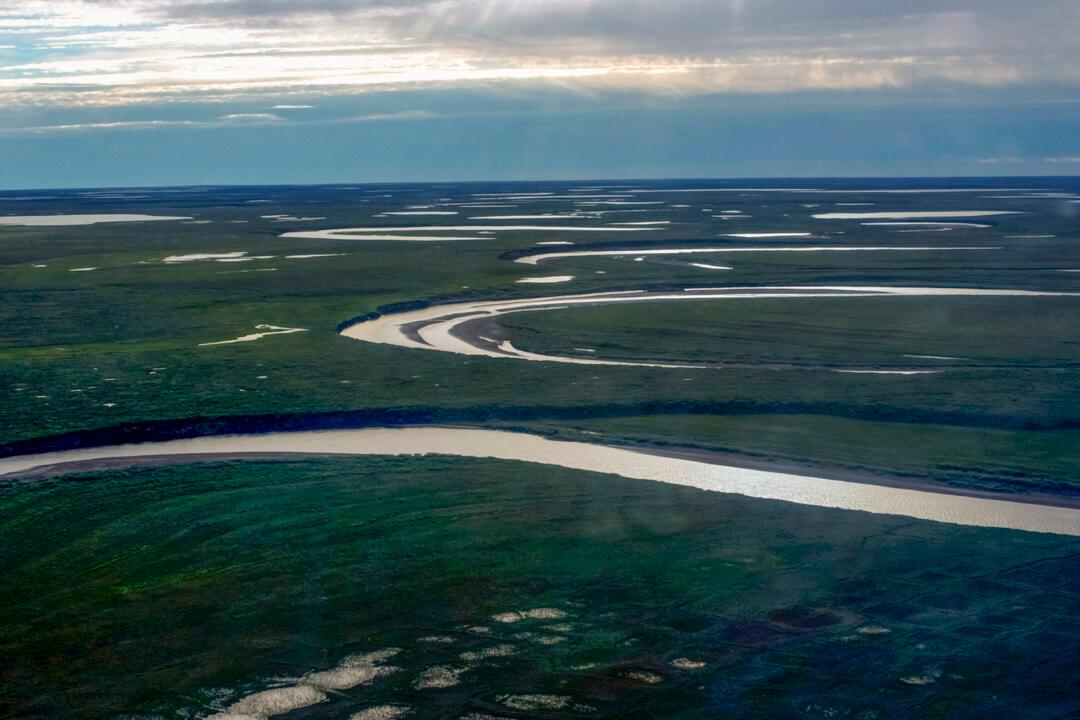 Alaska, Oil Companies Sue Department of Interior Over Petroleum Reserve Rule