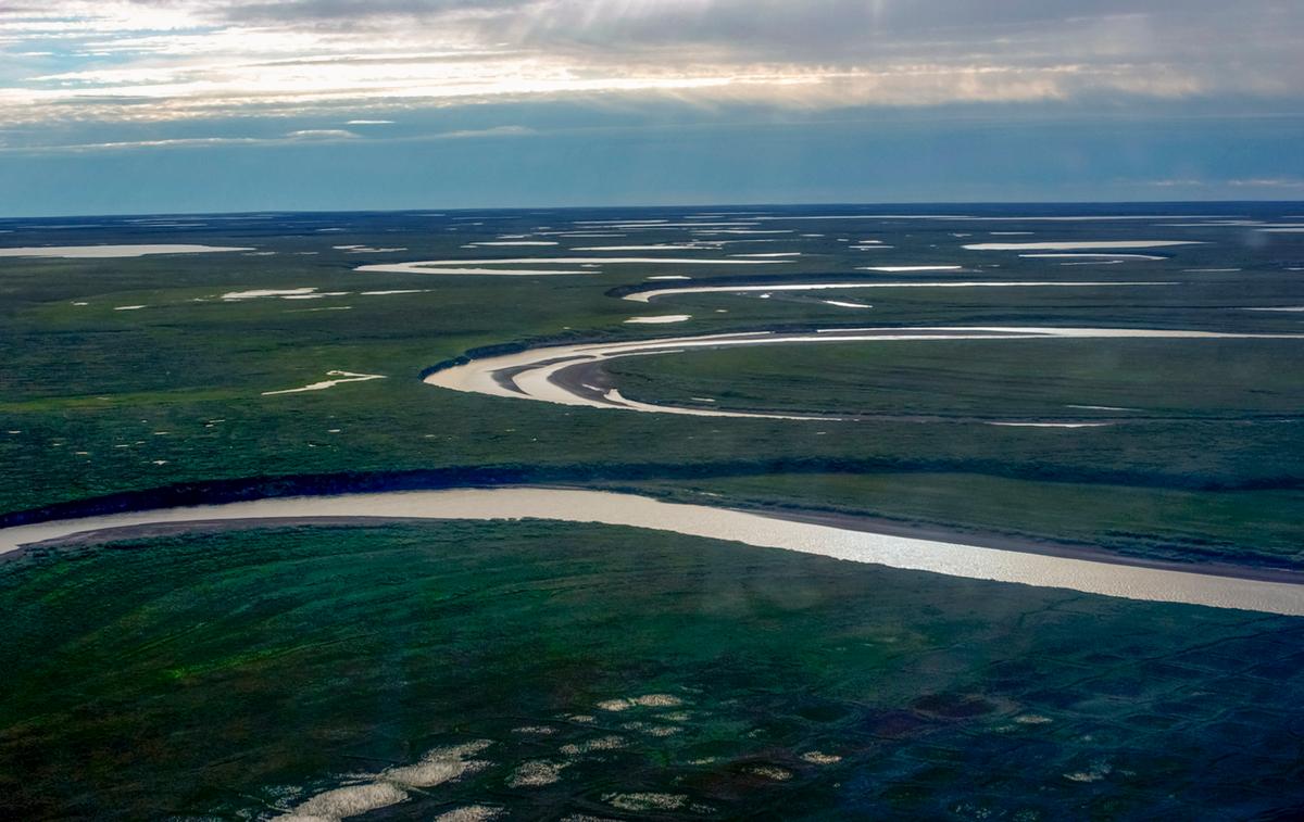 Alaska, Oil Companies Sue Department of Interior Over Petroleum Reserve Rule