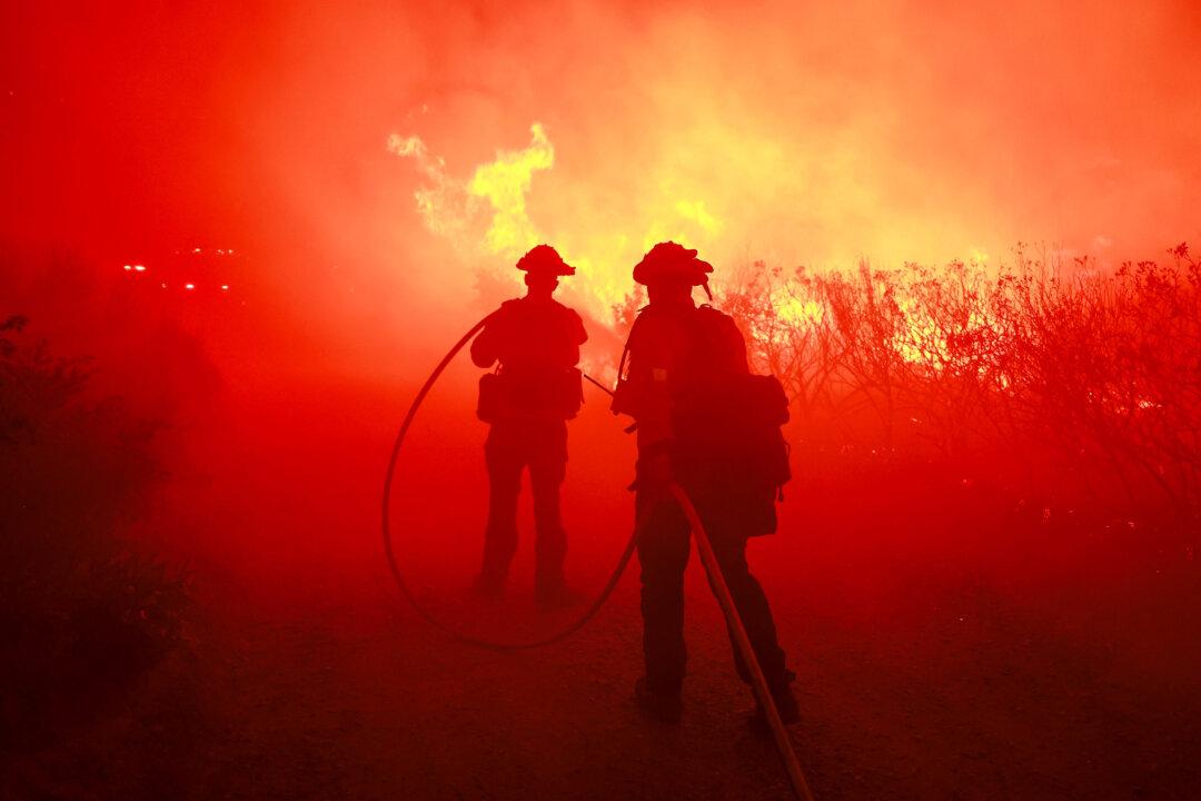Forest Fire Has Burned 4,000 Acres in New Jersey but Is Now 65 Percent Contained, Officials Say