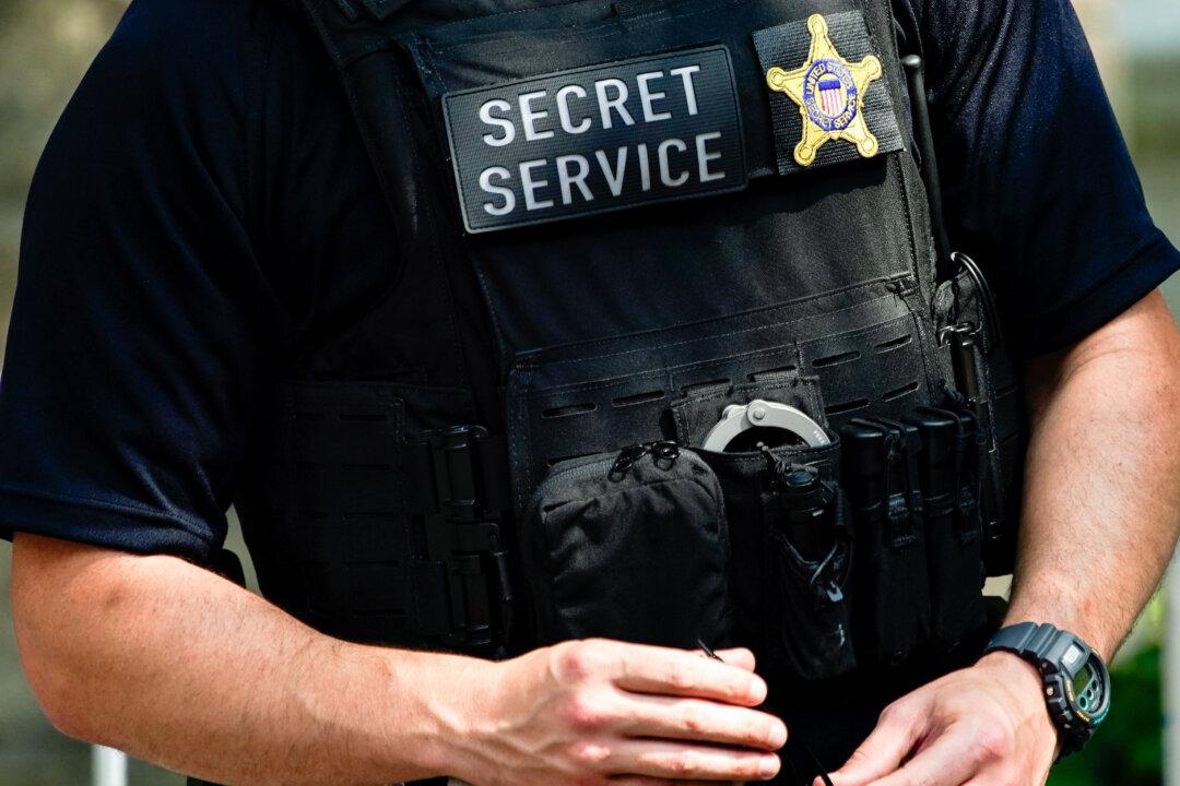 US Secret Service Director Says No ‘Credible’ Threats Against DNC, RNC