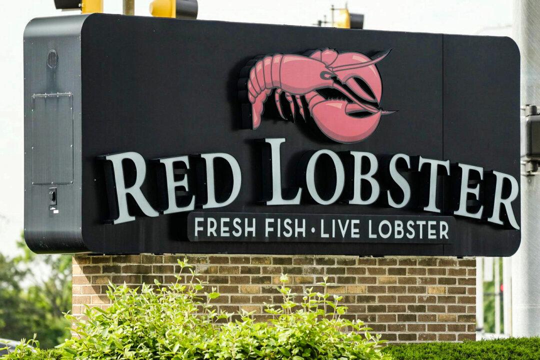 Business Bankruptcies Jump 34 Percent in First Half of 2024