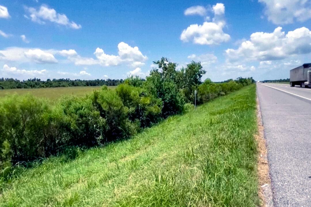 1-Year-Old ‘Miracle Baby’ Found Crawling by Highway After Brother Found Dead, Mother Arrested