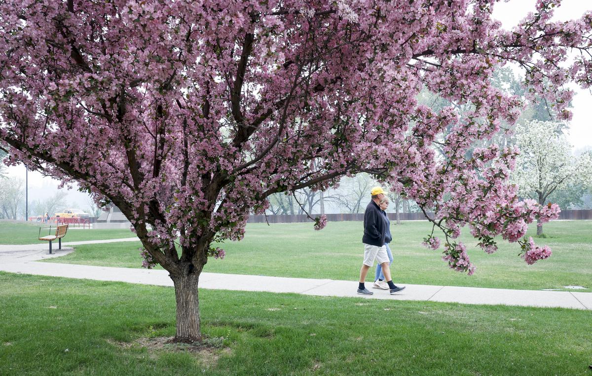 Alberta Ranks in Top 12 for Economic Freedom in North America, Other Provinces Fall Below Top 40: Study
