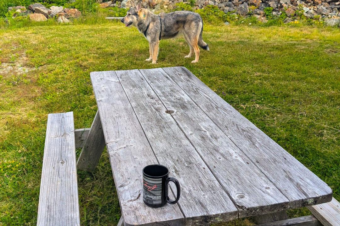 Ask the Builder: How to Protect Exterior Wood