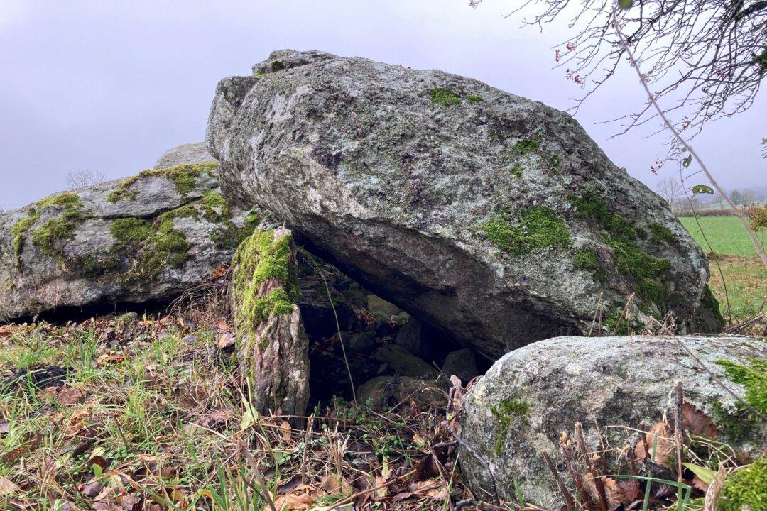 Genome Evidence Points to Plague in Stone Age European Population Crash