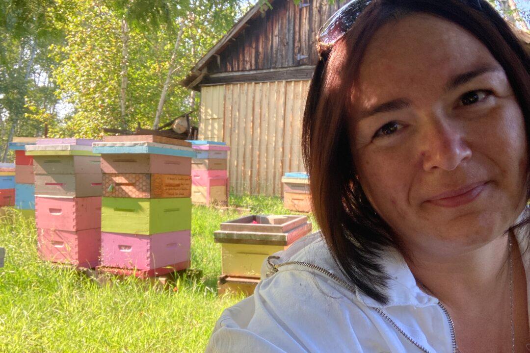 Ontario Beekeeper Wants to Know Why 1.2 Million of Her Bees Suddenly Died