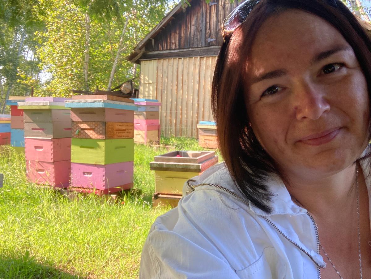 Beekeeper Gets Some Answers After Mysterious Death of 1.2 Million Bees