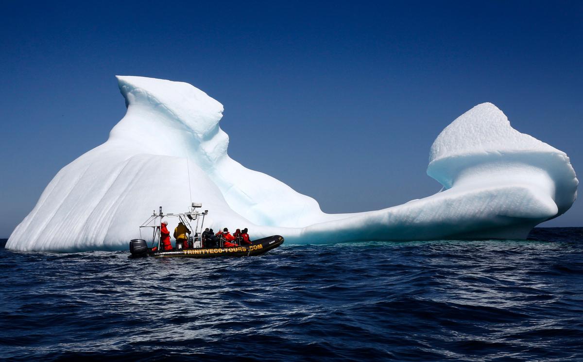 5 Newfoundland Boat Tours That Offer Visitors Access to Unique Natural Sites