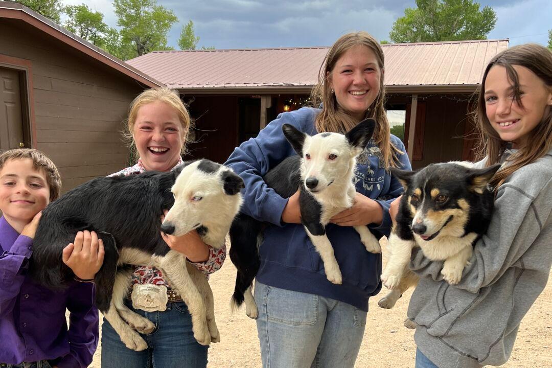 Taking the Kids: To a Dude Ranch Family Reunion