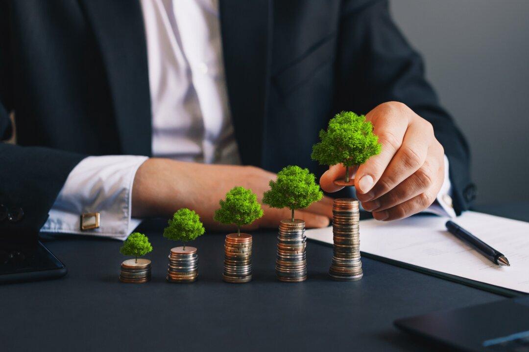 What Should You Invest In?