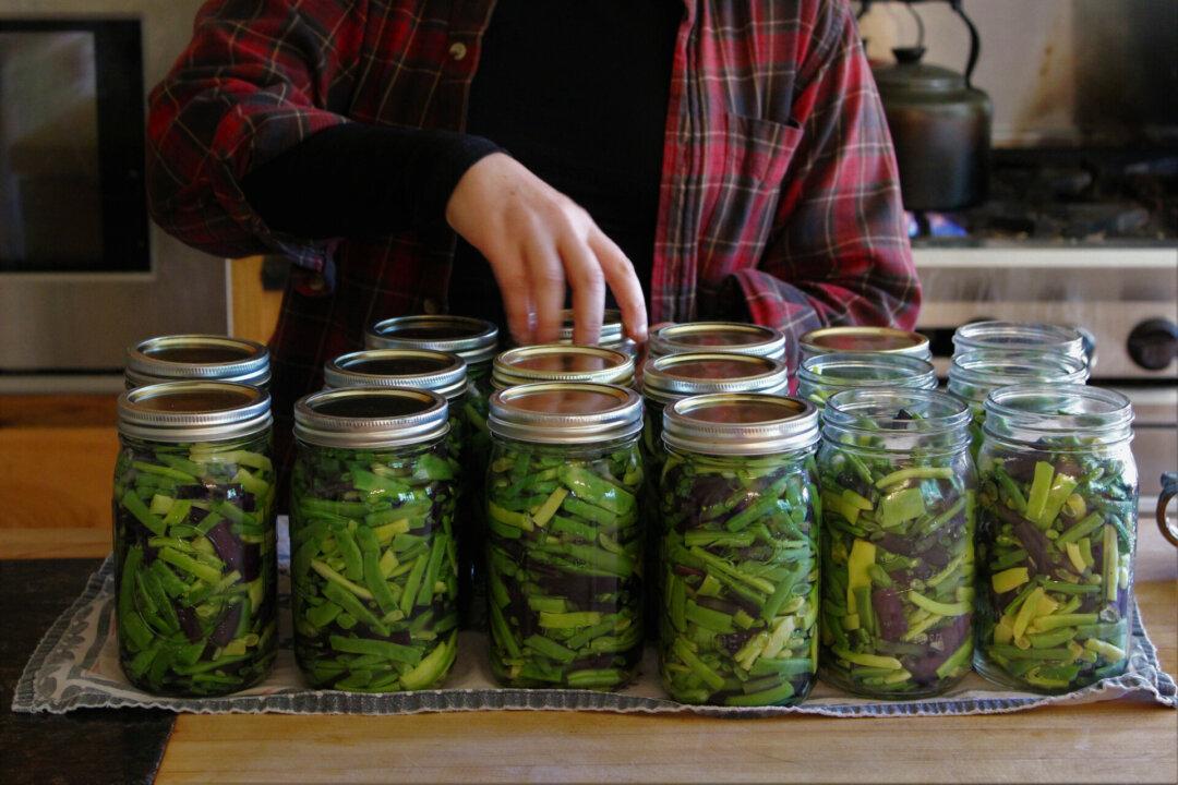 Raw Pack Pressure Canned Green Beans