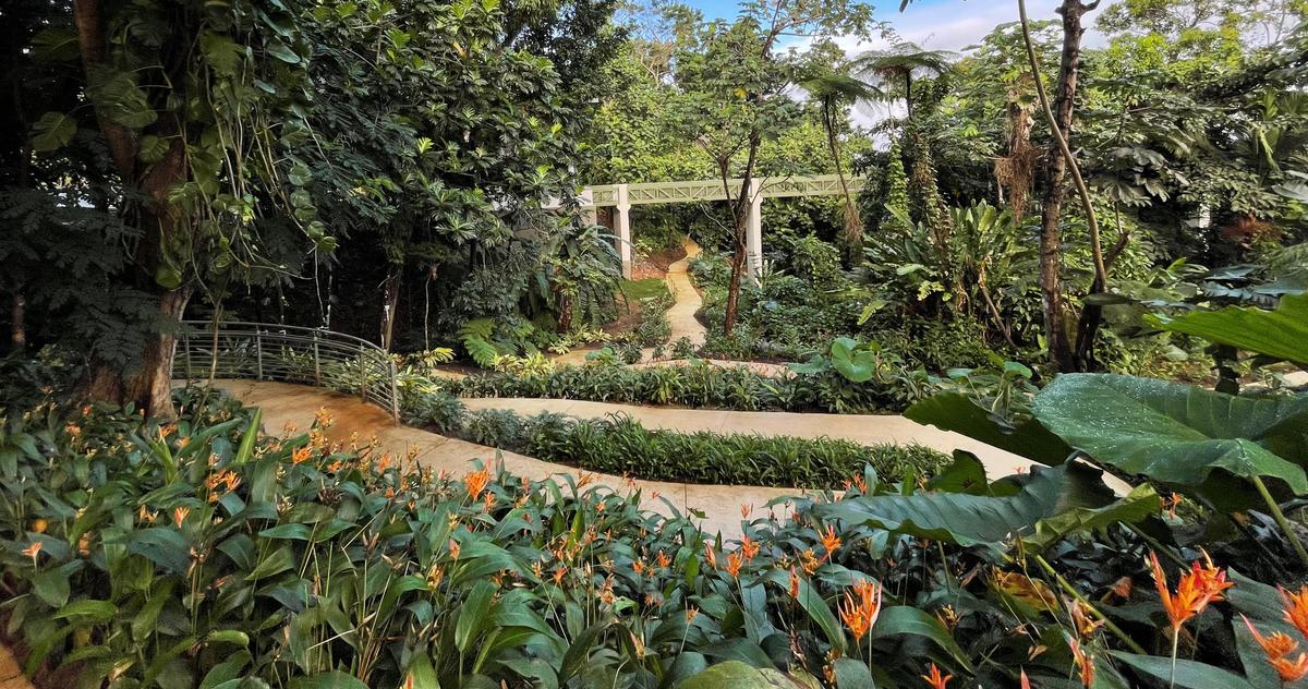 A short, wheelchair-accessible interpretive trail winds through the lower forest level at El Portal Visitor Center. (Courtesy El Portal de El Yunque Visitor Center)