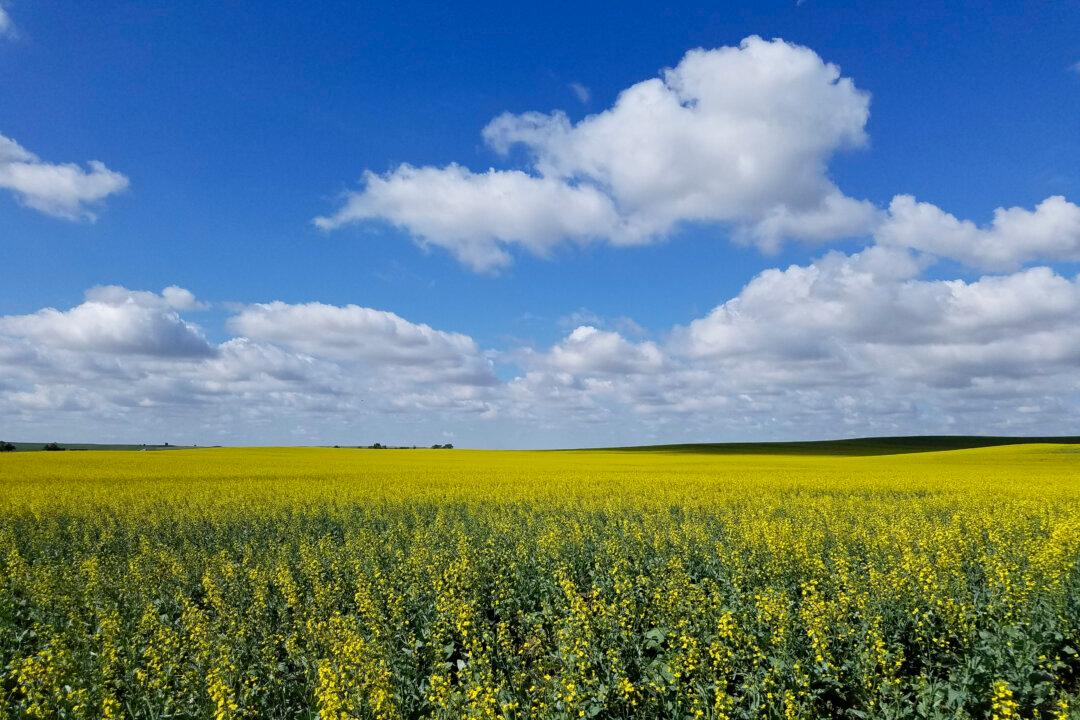 5 of the Top 10 Best US Cities for Renters Are in Midwest