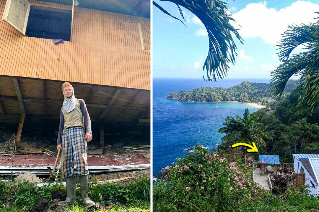 22-Year-Old Man Builds Home on a Caribbean Island for Just $4,000—in Less Than 3 Months