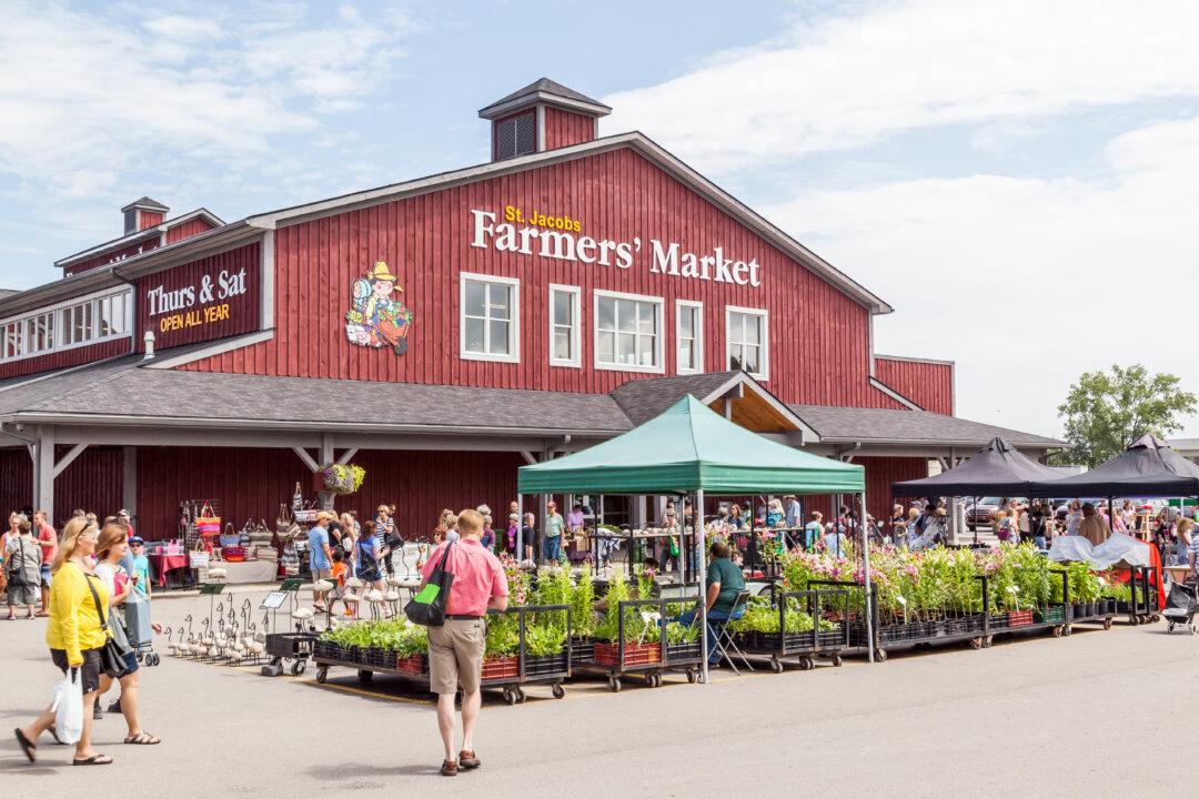 ‘Authentic Rural Experience’: A Must-See Year-Round Farmers’ Market Near Toronto