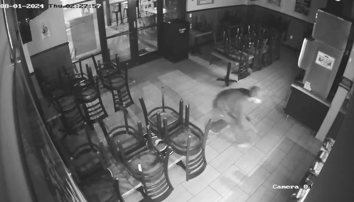 Businesses Targeted by Burglars in San Fernando; Investigation Underway