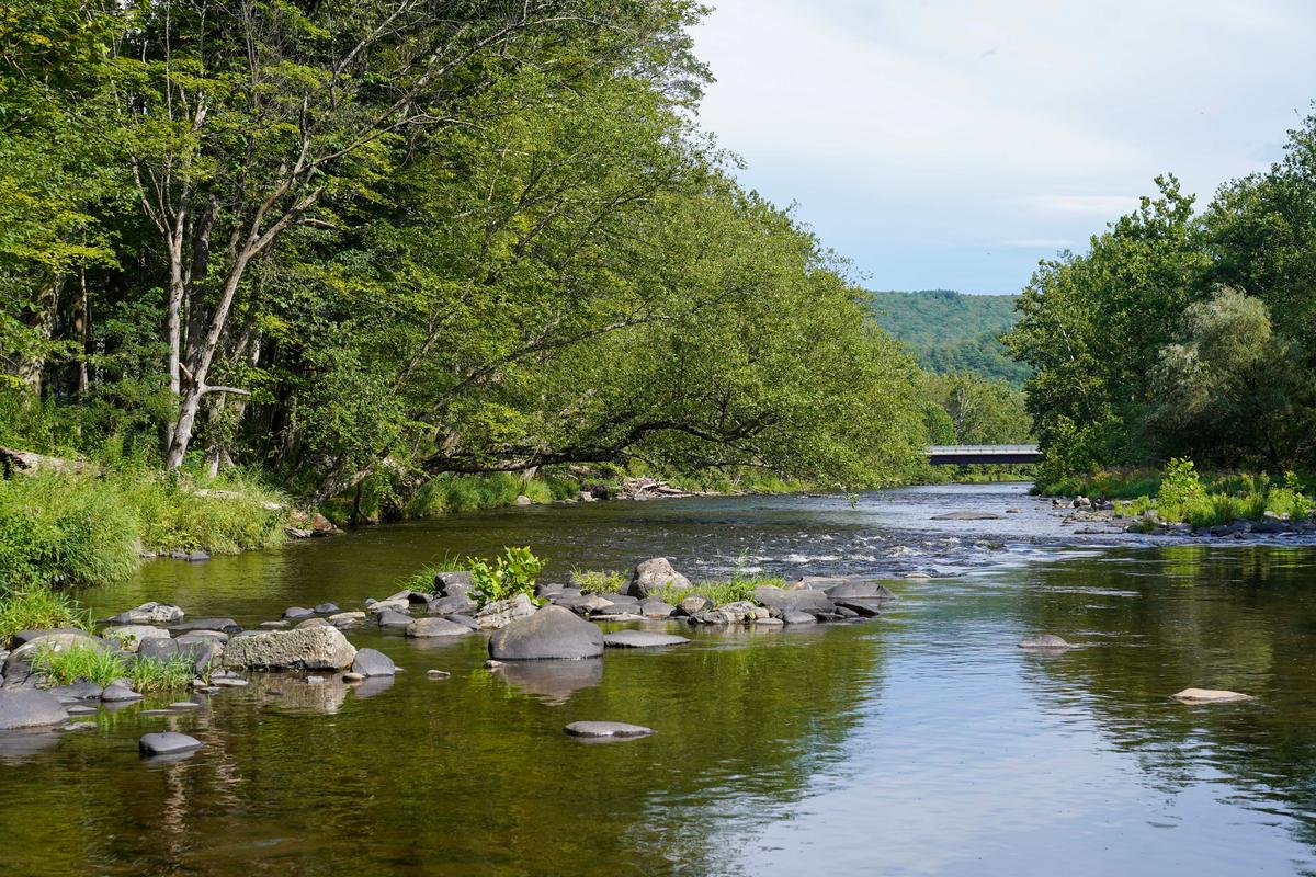 Federally Funded Study to Lay Out 1st Blueprint for Neversink Watershed Protection