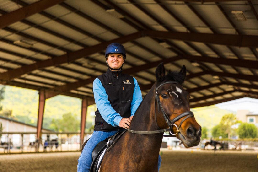 Therapy Horses at SoCal Center Become Local Heroes