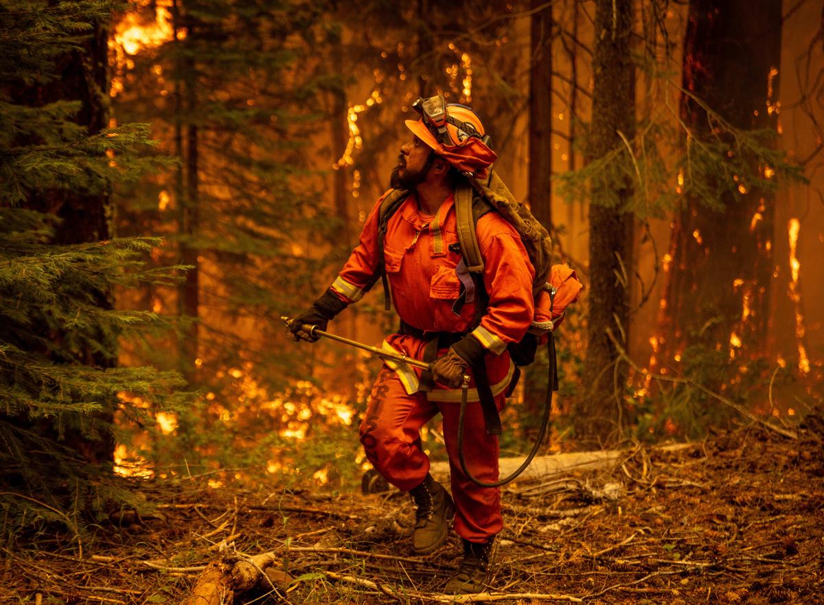 California’s Park Fire Grows to 671 Square Miles