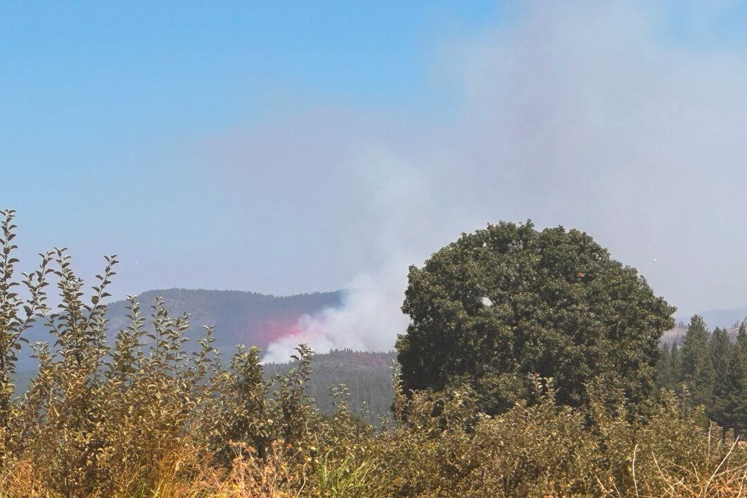 Fire Near Lake Tahoe Grows to 3 Square Miles, Forces Evacuations