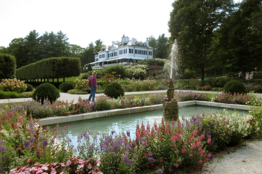 When the Professional Classes’ Well-Being Is Threatened