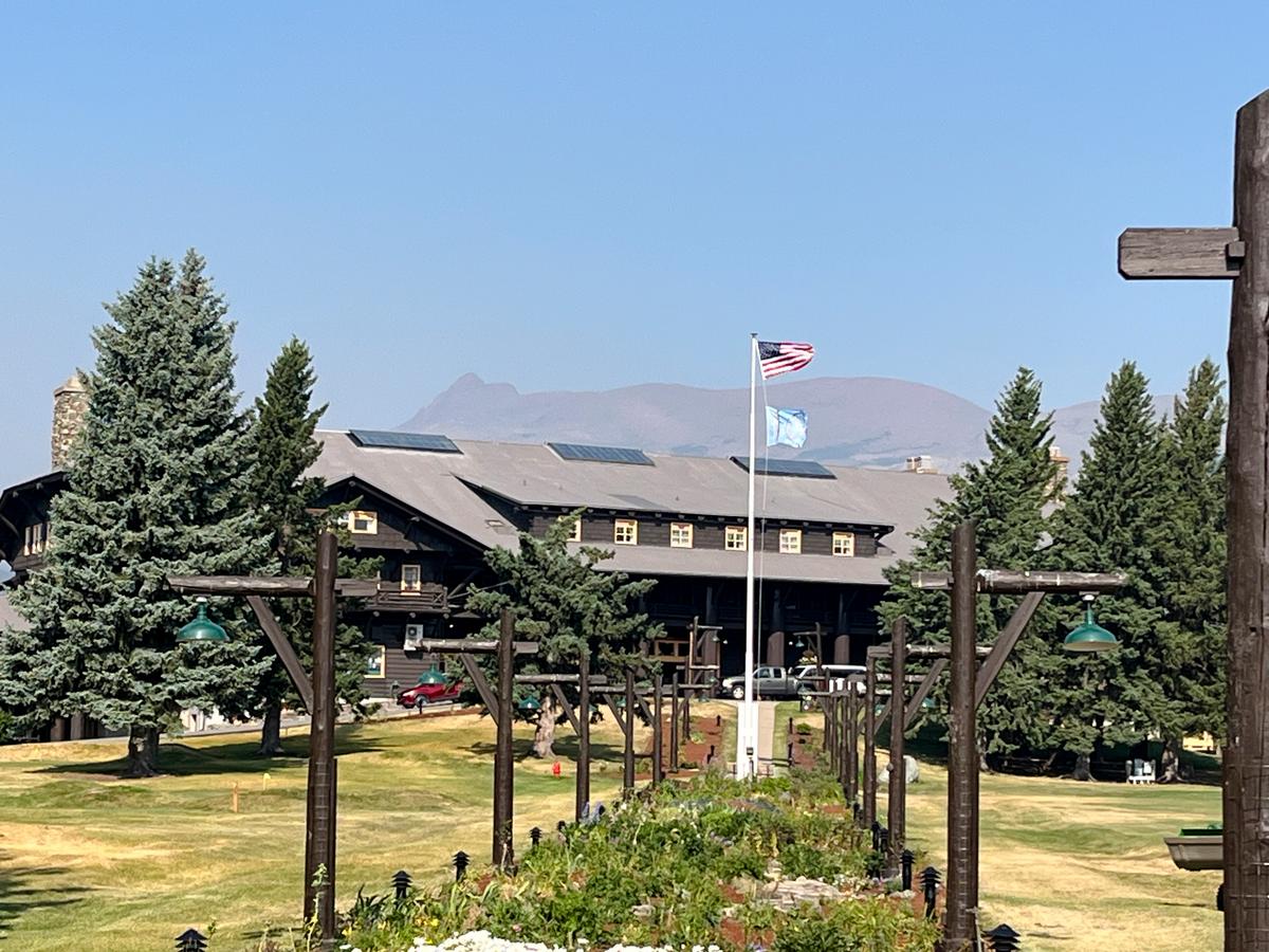 A Lodge That Resembles an Indoor Forest