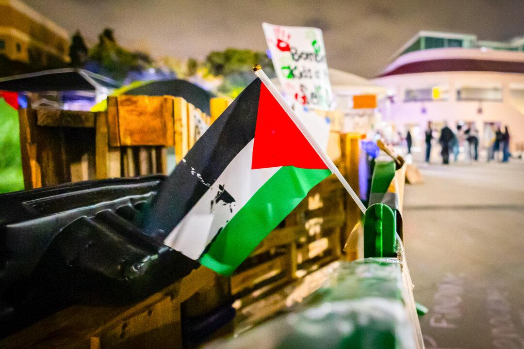 Illinois Federal Judge Upholds Restricted March Route for Gaza Protests During DNC