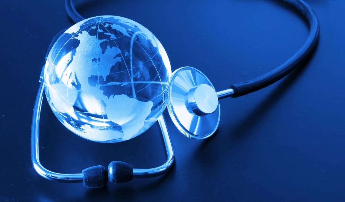 Questions About New Amendments to the 2024 IHRs