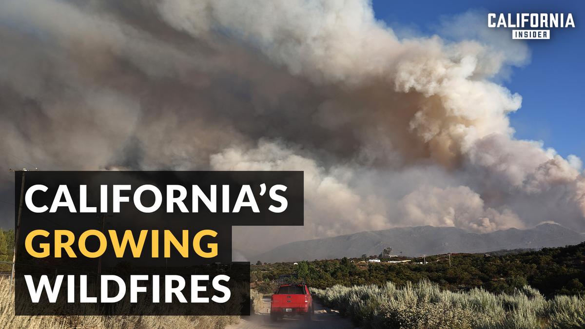 Why California Fires Are Getting Bigger | Jim Steele | Ian Faloona