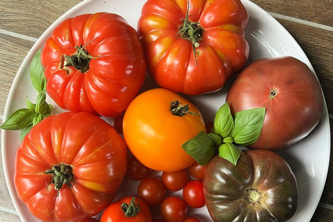 5 Tomato Recipes to Take Advantage of Summer’s Ripe Red Bounty