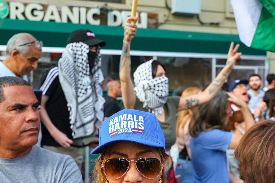 Pro-Palestinian Demonstrators Disrupt Democratic Rally in NYC