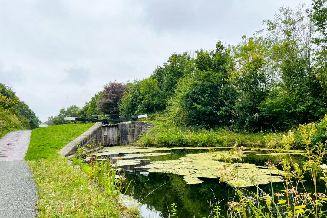 Environment Agency Launches Investigation After Toxic Chemical Spill in Canal