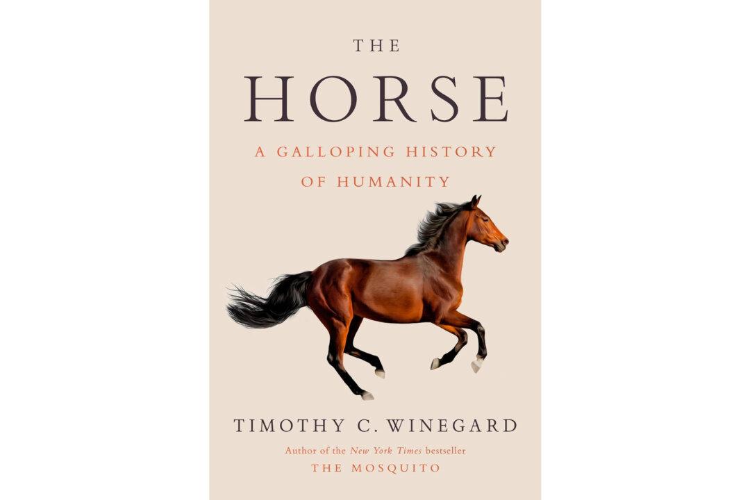 ‘The Horse: A Galloping History of Humanity’