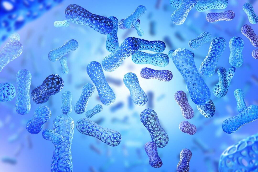How Industrialization Affected Our Microbiomes
