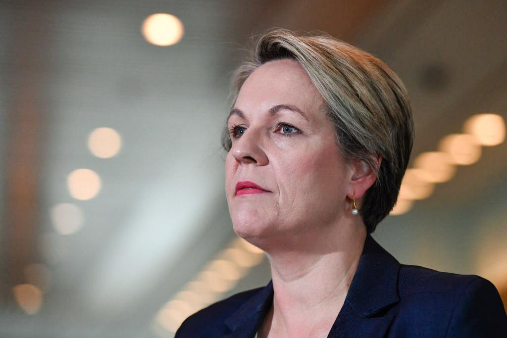 PM Rejects Claim He Vetoed a Deal With the Greens for New Environmental Regulation