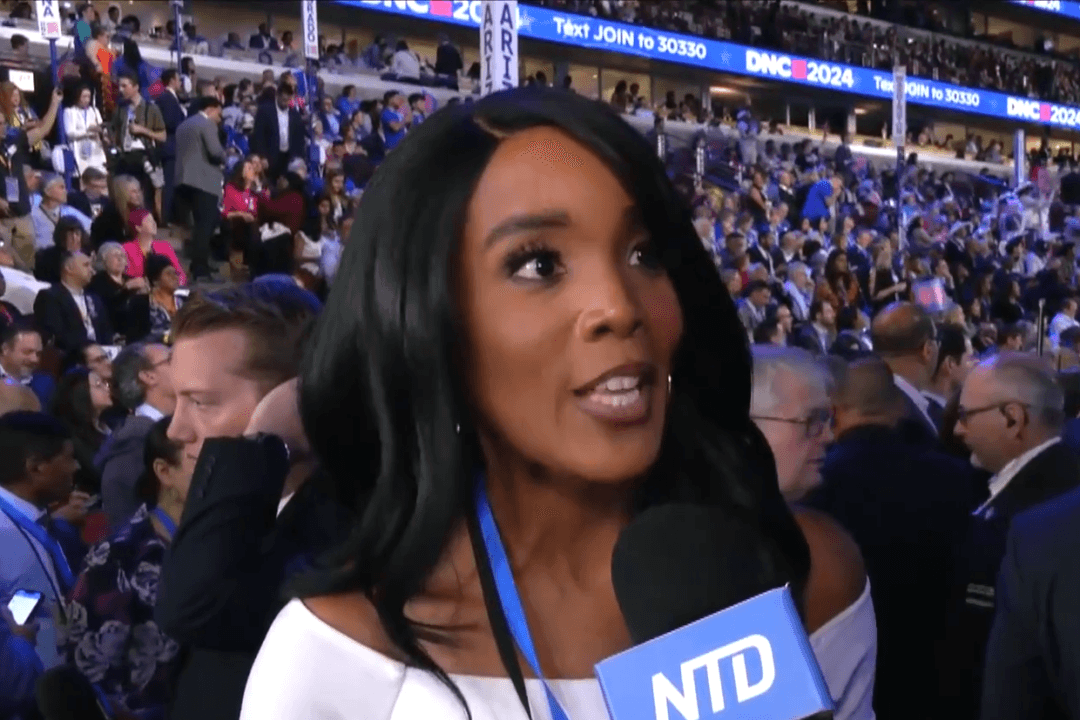 Democrats Pitch Policy Priorities for Harris Campaign