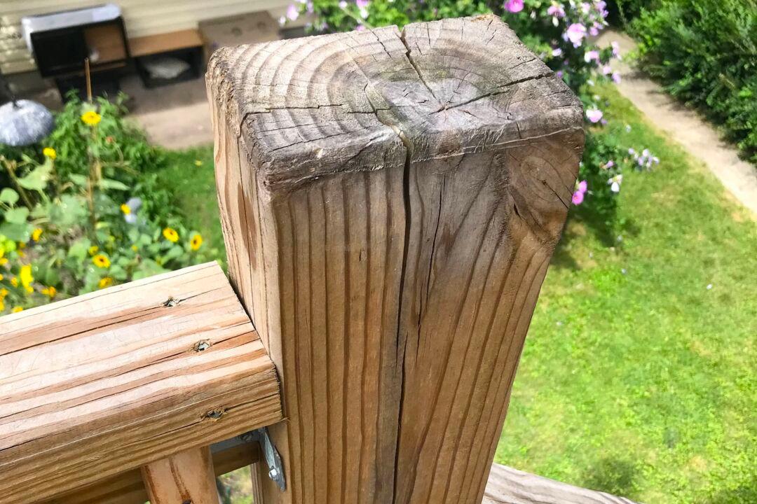 Ask the Builder: Water Loss Causes Shrinkage