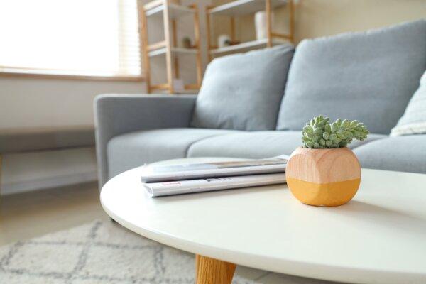 The same gardening principles can apply to indoor succulents, whether a mini container-scape or a single striking choice. (Pixel-Shot/Shutterstock)