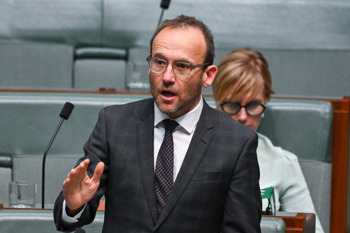Greens Leader Credits Local Pro-Palestine Protests for Contributing to Israel-Hamas Ceasefire